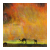 Iraq Fire