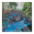 Rock Pool